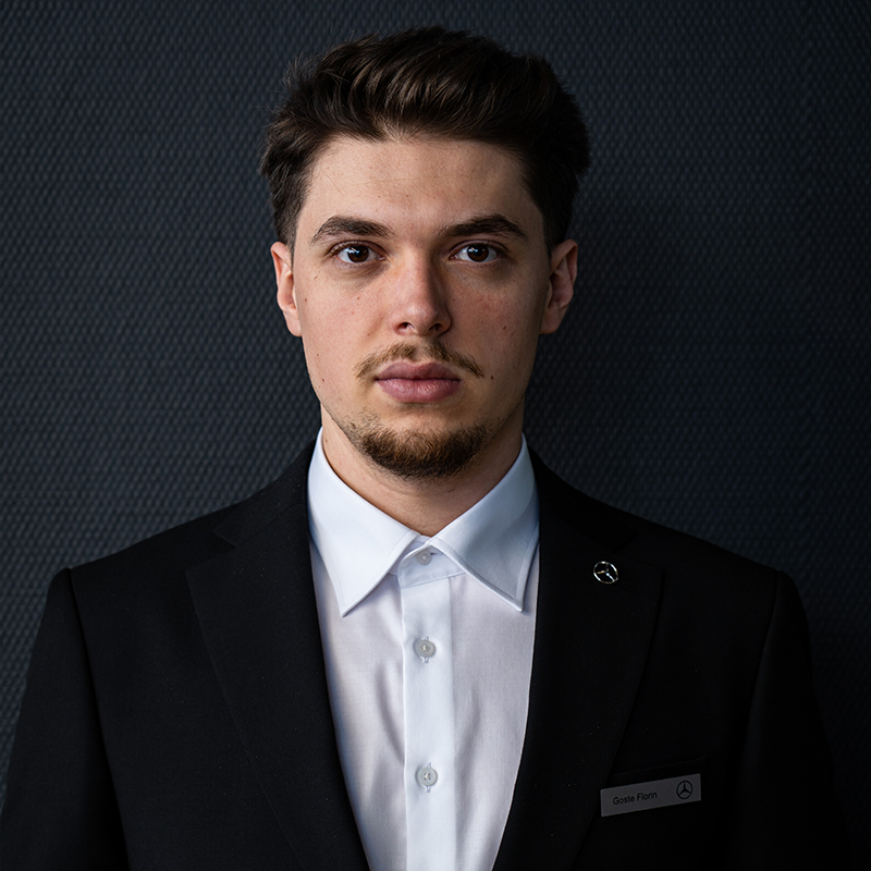 florin goste