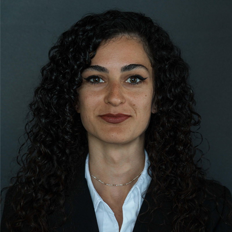 karina cirt