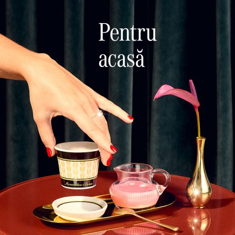 501379_MBAS_24033_TMX_Xmas_Carousel_1200x1200_RO_v1 5 480x480