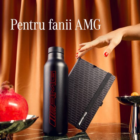 501379_MBAS_24033_TMX_Xmas_Carousel_1200x1200_RO_v1 6 480x480